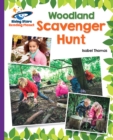 Image for Woodland scavenger hunt