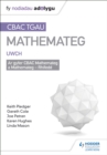 Image for Mastering mathematics.: (WJEC GCSE revision guide) : Higher,