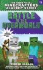 Image for Battle in the Overworld