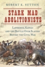 Image for Stark Mad Abolitionists : Lawrence, Kansas, and the Battle over Slavery in the Civil War Era