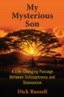 Image for My Mysterious Son : A Life-Changing Passage between Schizophrenia and Shamanism