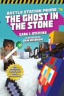 Image for The Spirit in the Stone : An Unofficial Graphic Novel for Minecrafters