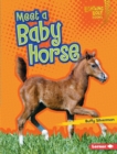 Image for Meet a Baby Horse