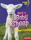 Image for Meet a Baby Sheep