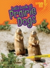 Image for Let&#39;s Look at Prairie Dogs