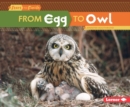 Image for From egg to owl