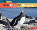 Image for From egg to penguin