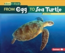 Image for From egg to sea turtle