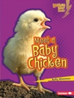 Image for Meet a Baby Chicken