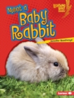 Image for Meet a Baby Rabbit