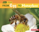 Image for From Egg to Honeybee