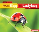 Image for From Egg to Ladybug