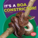 Image for It&#39;s a boa constrictor!