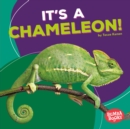 Image for It&#39;s a Chameleon!