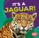 Image for It&#39;s a Jaguar!