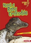Image for Meet a Baby Crocodile