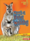 Image for Meet a Baby Wallaby