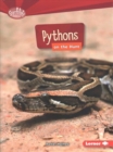 Image for Pythons on the Hunt