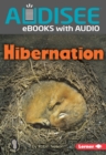 Image for Hibernation