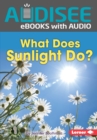 Image for What Does Sunlight Do?