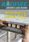 Image for What Does a Level Do?
