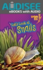 Image for Let&#39;s Look at Snails