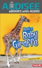 Image for Meet a Baby Giraffe
