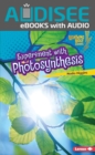 Image for Experiment With Photosynthesis