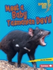 Image for Meet a Baby Tasmanian Devil