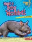 Image for Meet a Baby Wombat