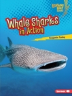 Image for Whale Sharks in Action