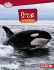 Image for Orcas On the Hunt