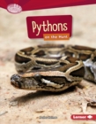 Image for Pythons On the Hunt