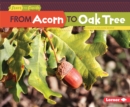 Image for From Acorn to Oak Tree