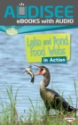 Image for Lake and Pond Food Webs in Action