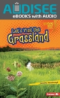 Image for Let&#39;s Visit the Grassland