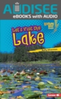 Image for Let&#39;s Visit the Lake