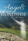 Image for Angels By The Roadside