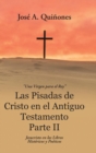 Image for Las Pisadas de Cristo en el Antiguo Testamento Parte II : Jesucristo en los Libros Historicos y Poeticos