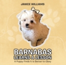 Image for Barnabas Learns a Lesson: A Puppy Finds It Is Better to Obey
