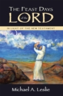Image for Feast Days of the Lord: In Light of the New Testament