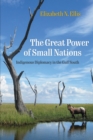 Image for The great power of small nations  : indigenous diplomacy in the Gulf South