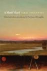 Image for A marsh island