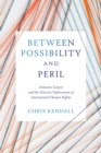 Image for Between Possibility and Peril