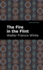 Image for Fire in the Flint