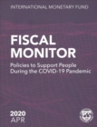 Image for Fiscal monitor : policies to support people during the COVID-19 pandemic