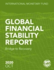 Image for Global financial stability report : bridge to recovery