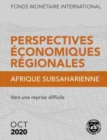 Image for Regional Economic Outlook, October 2020, Sub-Saharan Africa (French Edition) : A Difficult Road to Recovery