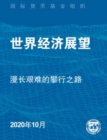 Image for World Economic Outlook, October 2020 (Chinese Edition)