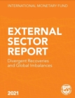 Image for External Sector Report 2021 : Divergent Recoveries and Global Imbalances